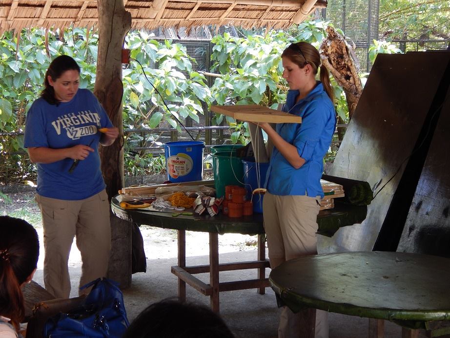 Practical enrichment training session
