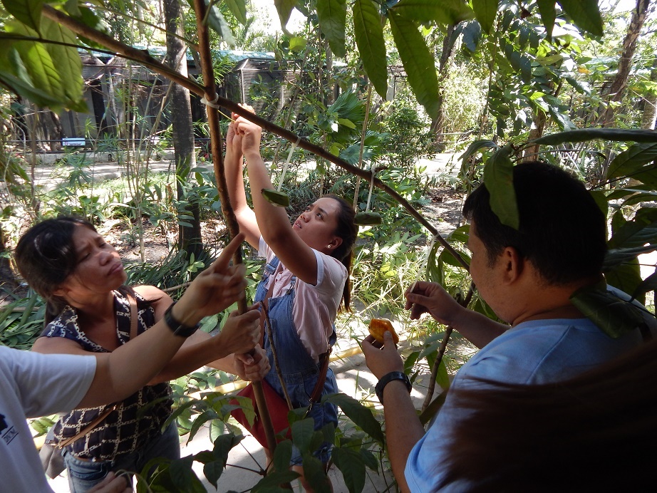 Making fruit bat enrichment