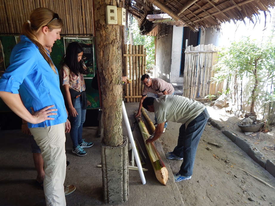 Making warty pig enrichment, 1